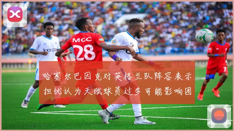 哈塞尔巴因克对英格兰队阵容表示担忧认为天赋球员过多可能影响团队合作