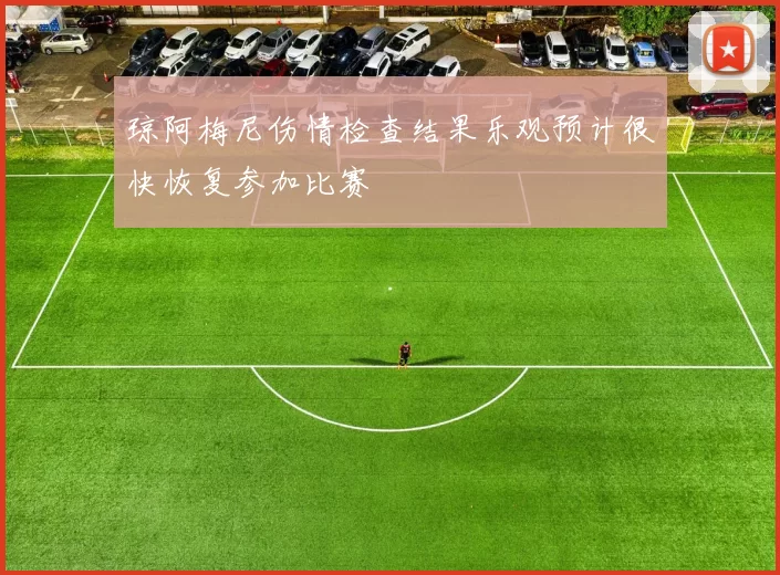 琼阿梅尼伤情检查结果乐观预计很快恢复参加比赛